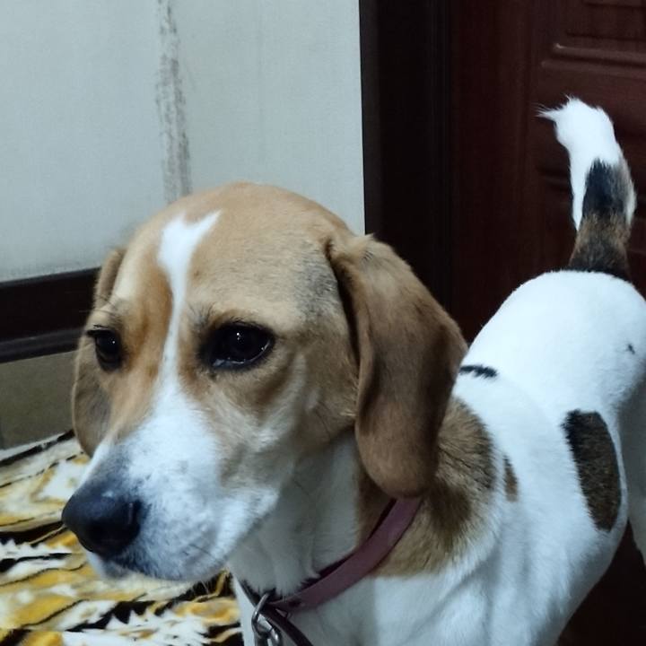 1c285e75 d405 4057 8827 8aef613448d9 1577177016847