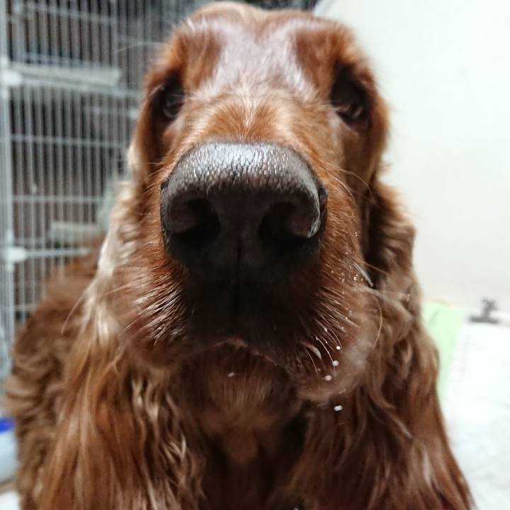 1c289857 4c19 4465 b3a3 ea326c4dc3ce 1547733219710