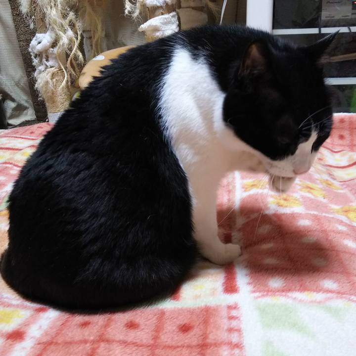 1c28c6ae f622 42ec b417 56c42a34c859 1557352435549