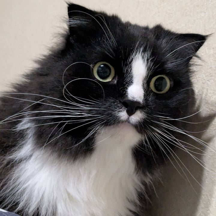 1c28c6d4 7b14 457f aae5 256805f318ca 1748144695689