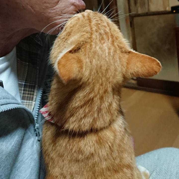 1c28c793 aad1 4e5c 839b b172b3e15ee4 1605817871117