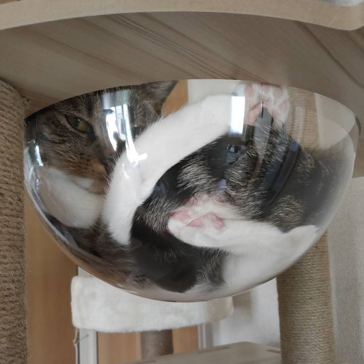 1c28d142 a349 4b3b ade5 63e5c60798e4 1656661206179