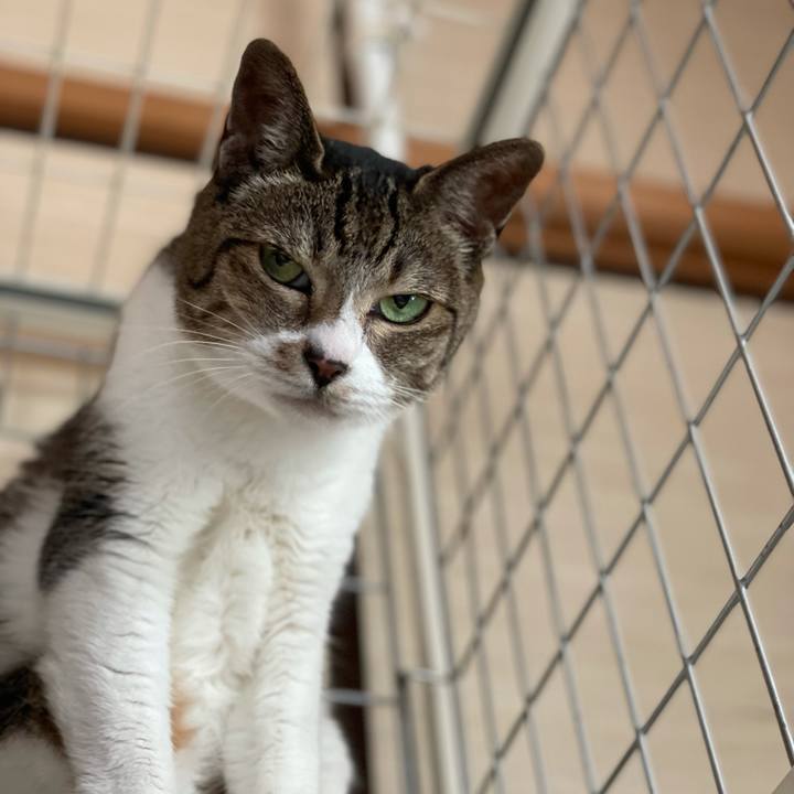 1c291da3 be07 4b38 bb1c a6da6e6b73dd 1627782470324