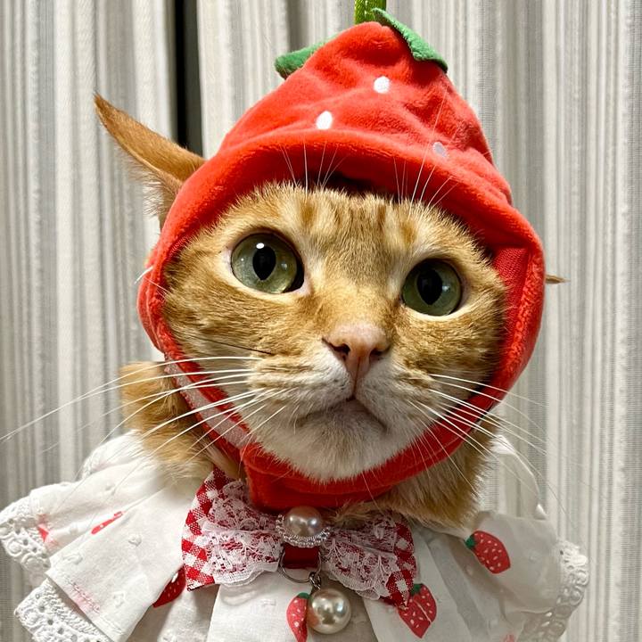 1c294400 79a0 41bc 80d2 0e1fb04ed204 1673683535797