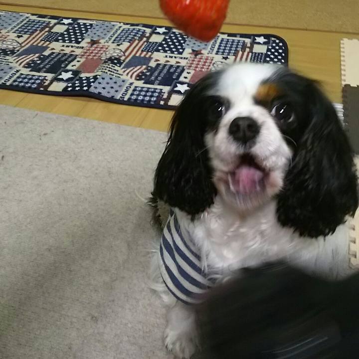 1c2956bd 38f8 4320 913f 73b519dec2d9 1520602406251