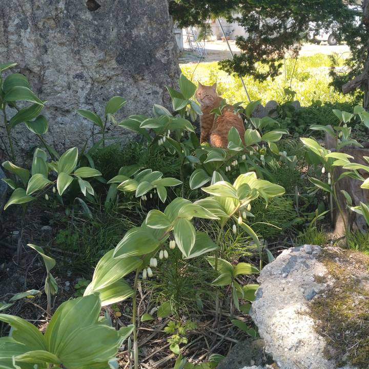 1c295b9b 5020 4655 b4c8 44613ff5aa67 1683856872060