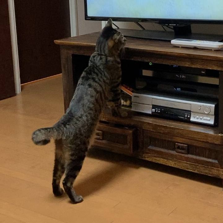 1c29885d 9d9b 455d a175 f0f4e661921d 1618017381213