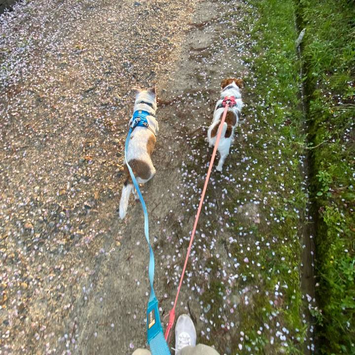 1c299f09 9f82 4371 8106 a6eacc3c7434 1712755656051