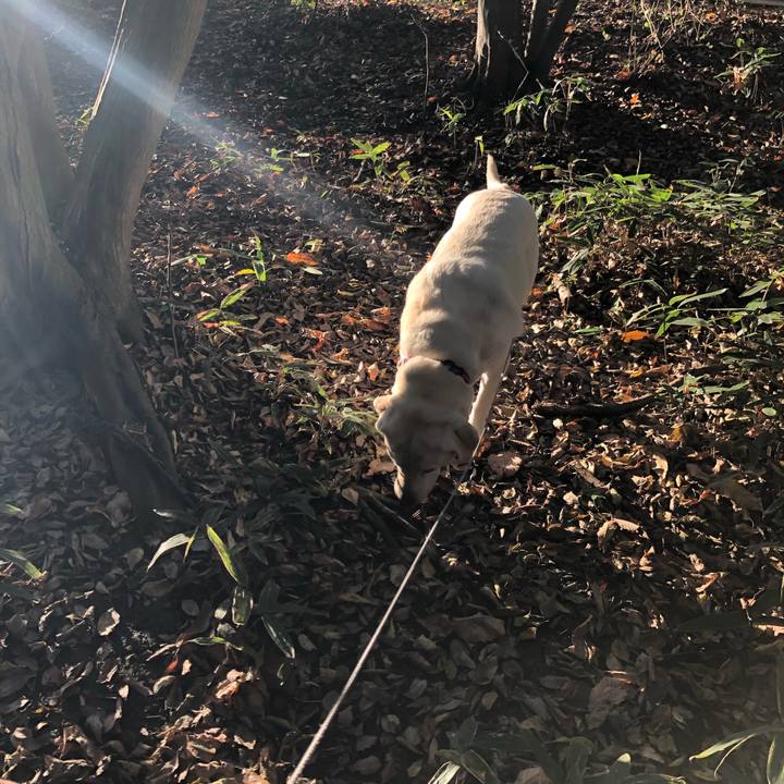 1c29b0ca c315 4467 bbe6 5a308835fa89 1636547544027