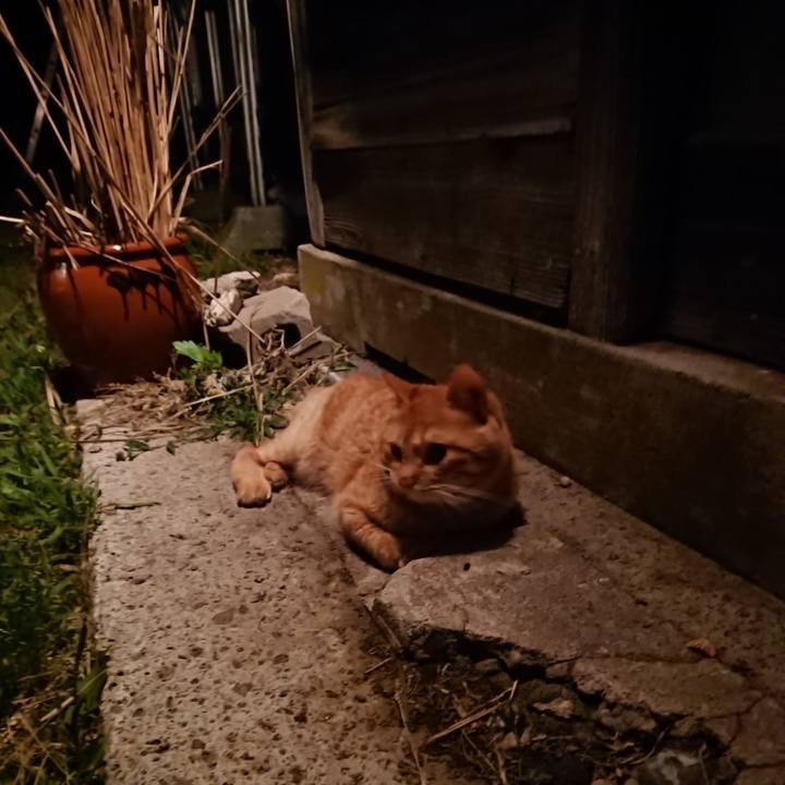 1c29b568 e9f4 46bd b64d 1f0c2369e39a 1655554684717