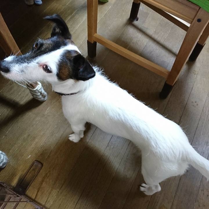 1c29c1c7 6a79 4cae 89b2 1634811fbc75 1511089843859