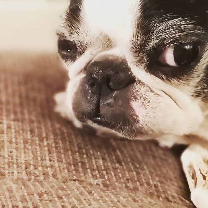 1c29dc9c d4be 4f69 a97f 5f3c0a2286f3 1547871655197