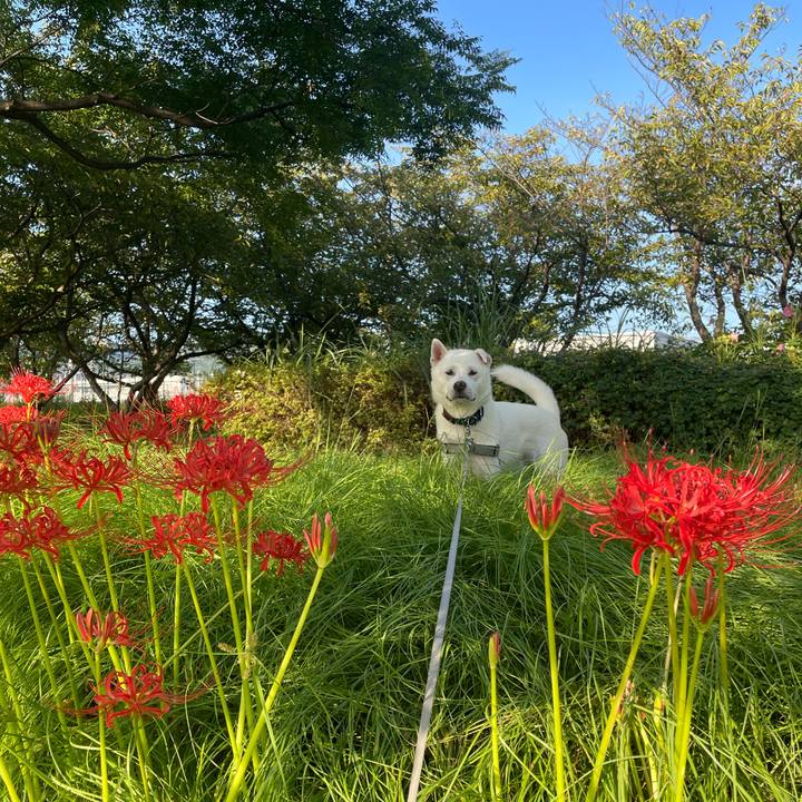 1c2a092e e67f 4d89 bc30 9cab7dd3695f 1758493708811