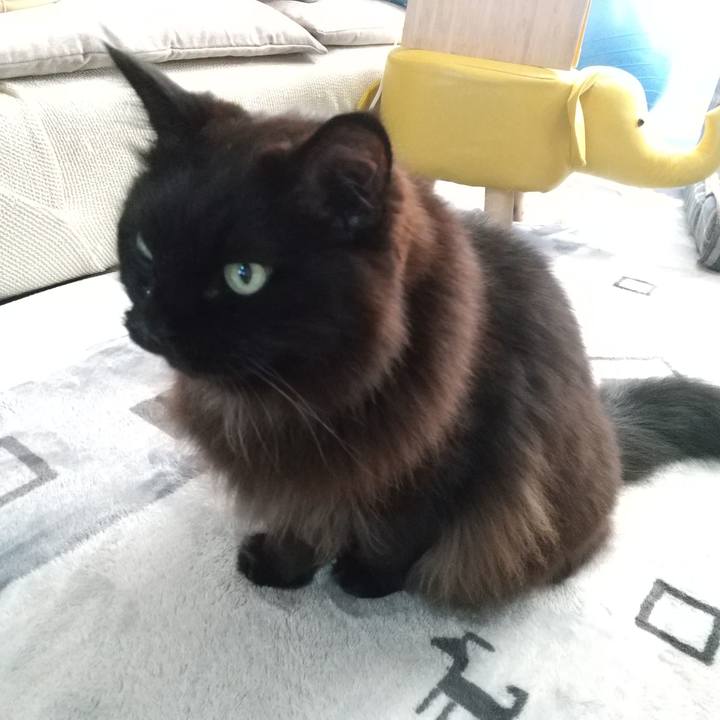 1c2a1812 4160 4e7c 89fb 60c0d9445a43 1640866533732