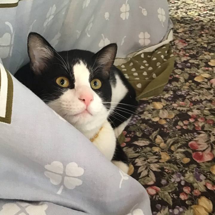 1c2a3c18 3c2a 4979 bc3f c2808b1cc269 1648857588651