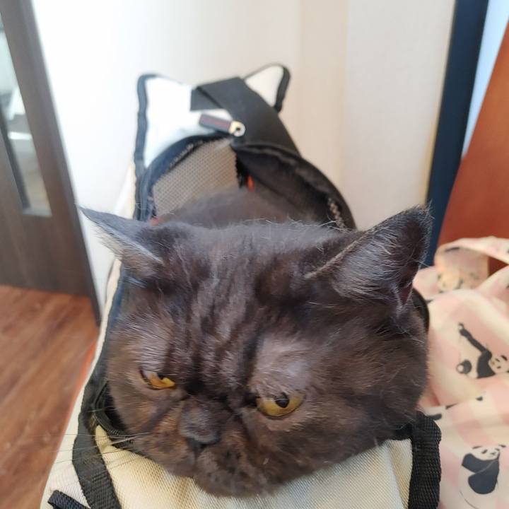 1c2a8392 869f 47eb 86cb 5c94d161baf2 1601688805235