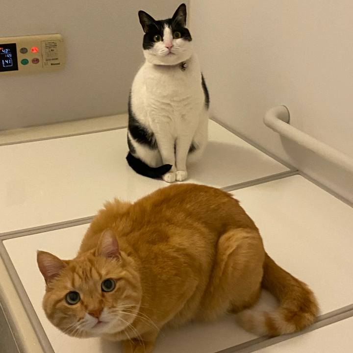 1c2ab12c 6423 47f9 9889 a1baf9883bf7 1613831695651