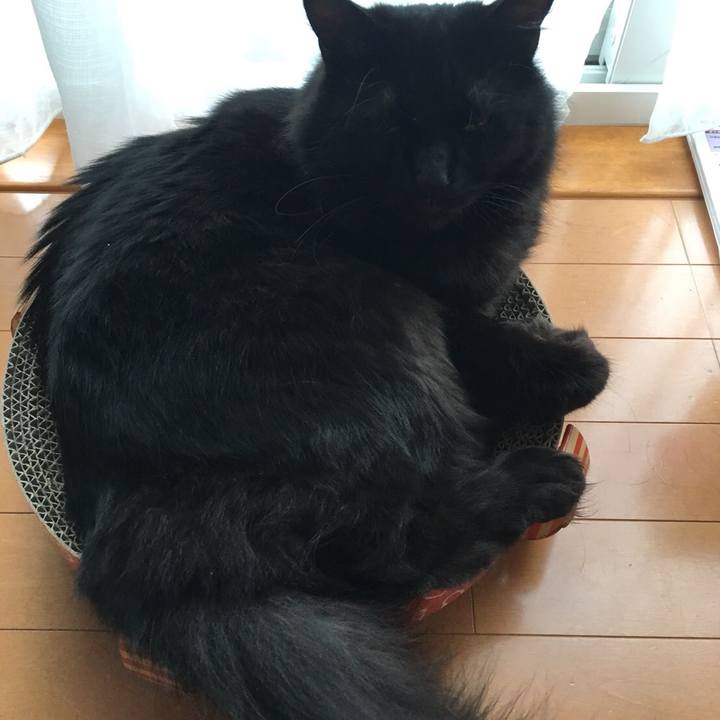 1c2ab3e8 09c1 4b59 ba1a bdecf3feb155 1531706519627