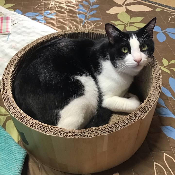 1c2ace20 a98d 4c8e a02f f869edec8dcb 1728889094468