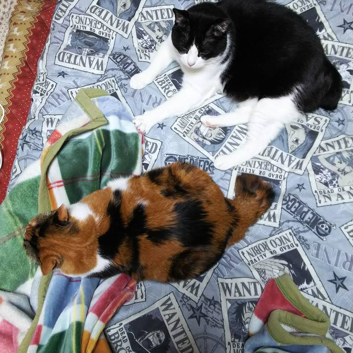 1c2ad949 fe6d 45c9 abe7 5126e172610f 1526420841973