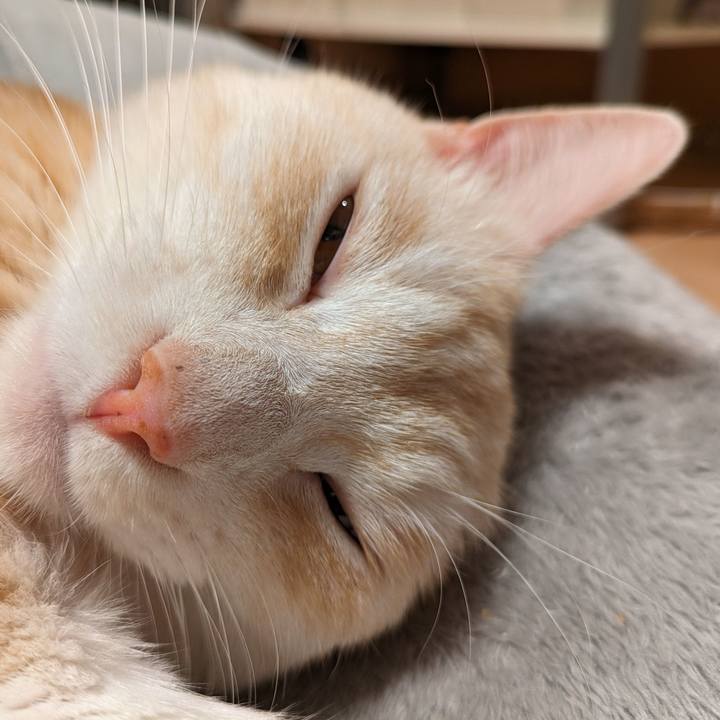 1c2af4b5 8a07 42a1 92b6 0bfedc7b101e 1695290932998