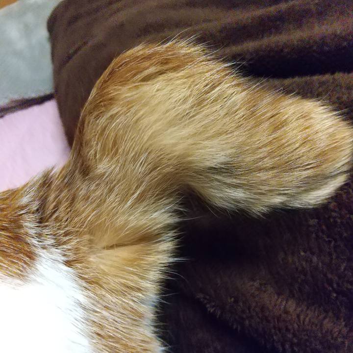 1c2afe37 8d57 41f4 be3a 74f73a40898a 1578236715174