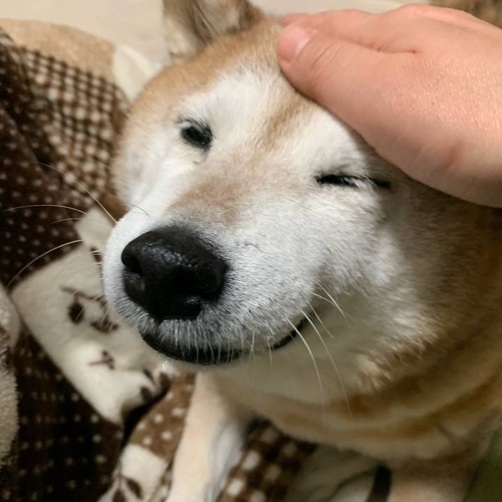 1c2b2065 9be8 4654 8b2a bfa222e94e8f 1579516496816