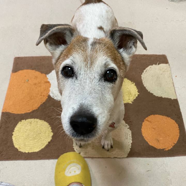 1c2b3bad c556 4e0a 8d8a 459b76577ec9 1606343317782