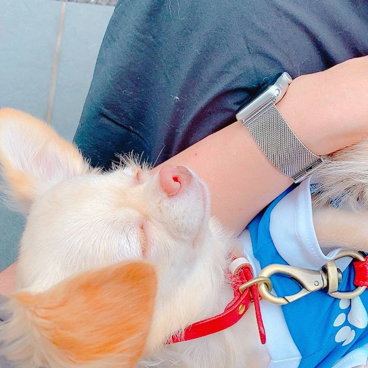 1c2b3c10 241a 4a41 bcb1 8cf5b177b62a 1631418941730