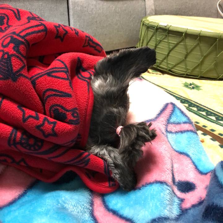 1c2b61cd a014 49b3 9430 c886d9bf37ee 1640962493713