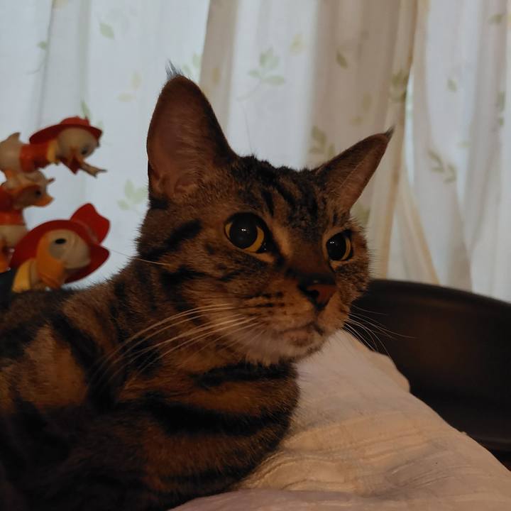 1c2b71b0 963b 4975 aac7 c4783aa81b2f 1634421624968