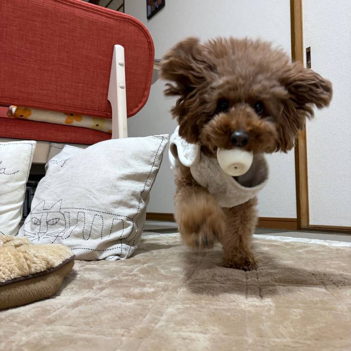 1c2b7de9 2546 42f4 b1a6 c6d6fc0f294d 1765926644369