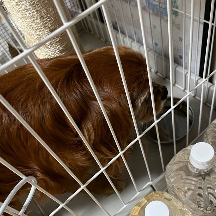 1c2b8459 d26a 4d58 a5fb fe4eaa5f009c 1770854122399