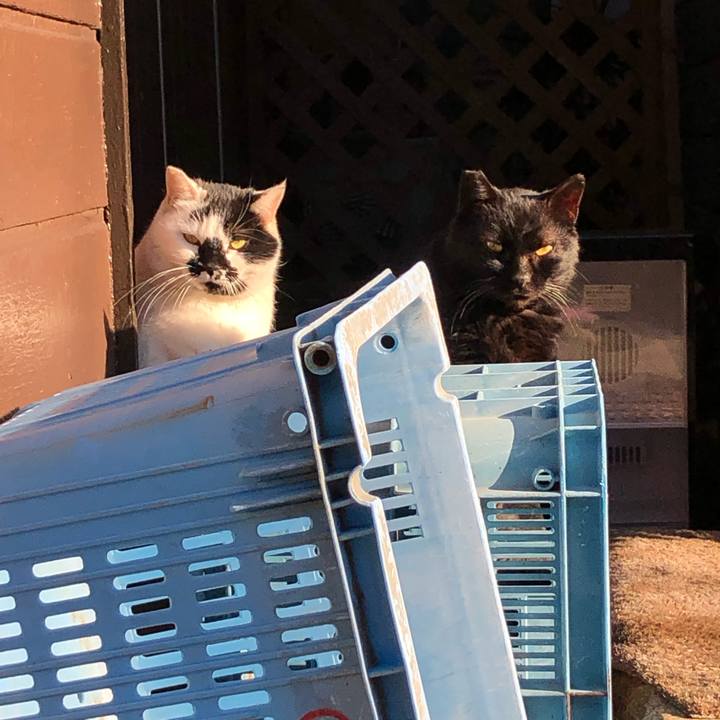 1c2be830 8ccf 478a 90d9 49201211ddc8 1643873653801