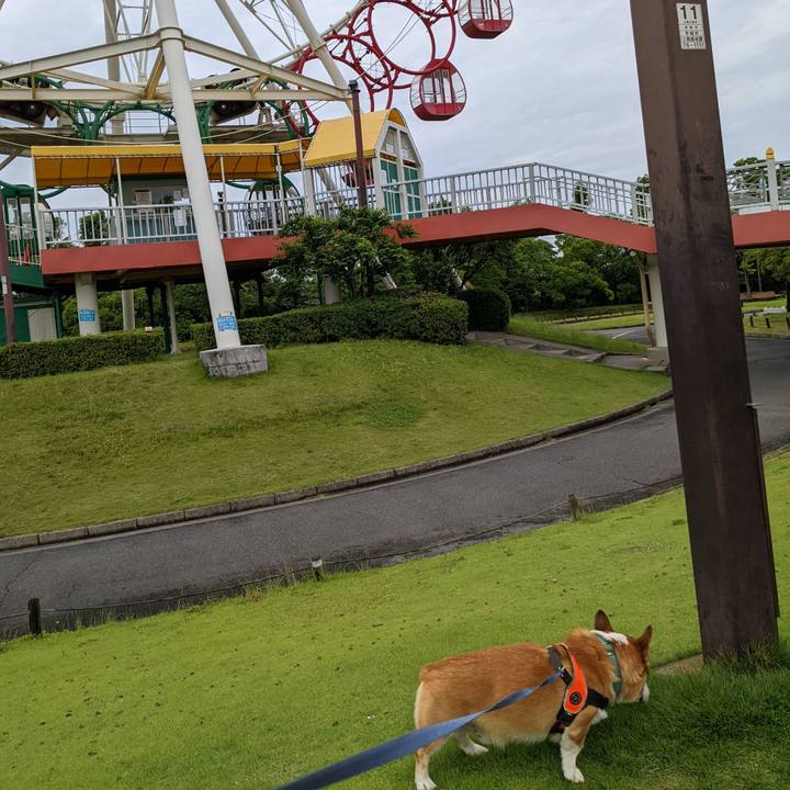 1c2bee7b 2021 40c9 8c88 bae2c759c7db 1685413056762