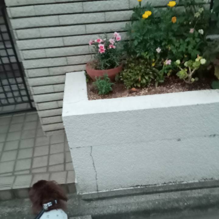 1c2c176a 1ad2 44b7 a172 7b77fdc6bd61 1756158539626