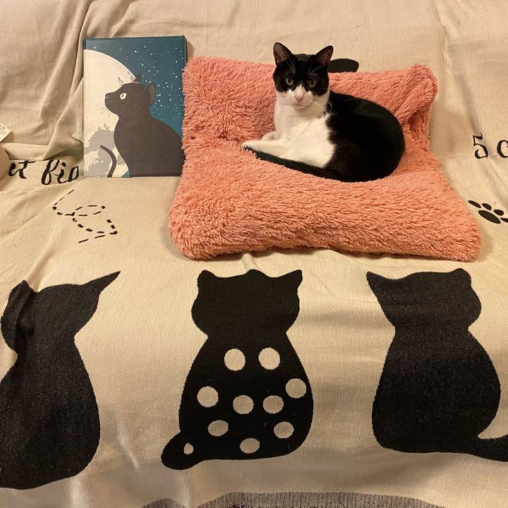 1c2c7587 1e74 435f a808 c974d5bc53b3 1729413830377