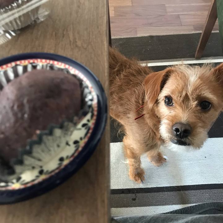 1c2c9a79 f8eb 49b8 8513 084c9f3d6e06 1581594652557