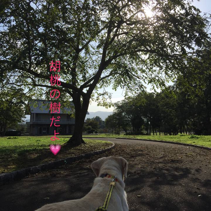 1c2cc994 efeb 48dc b805 206cef907978 1567583295051