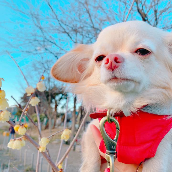 1c2cd476 037f 4151 b1fd 451087685a73 1644223317073