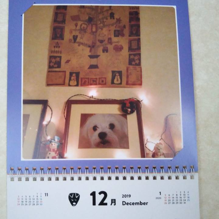 1c2cd71d 8fd4 4e2f 8e3d 1147f175ee34 1577233092891