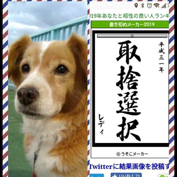 1c2d0214 2fe4 4fc9 9977 c46b2a927a70 1546476633399