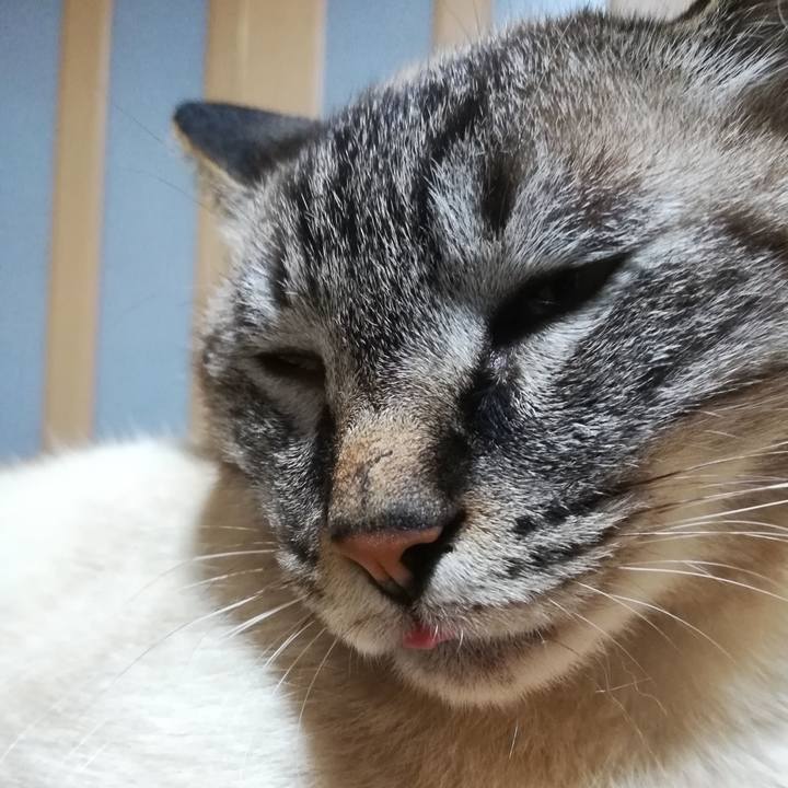 1c2d1af2 1588 439a bad1 29f09cdc7ca8 1564830336075