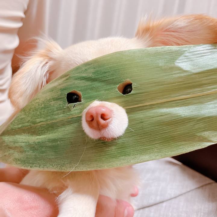 1c2d43c5 b954 4d86 b425 84dcdae650f8 1653806752631