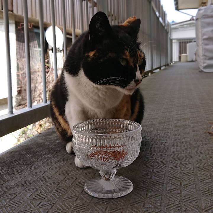 1c2d469d 2ef7 48b7 a751 1ae67c625af3 1555734021636