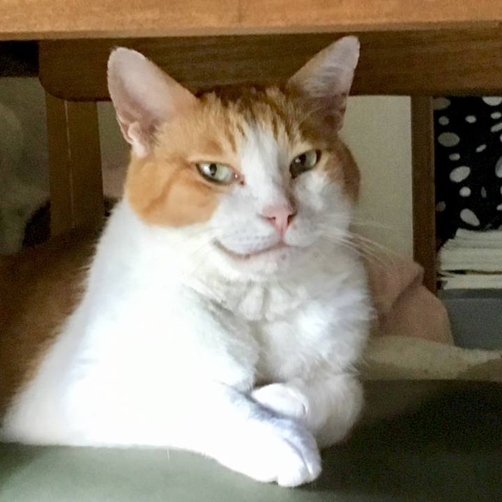 1c2d85c4 badd 4537 8d57 20cae2c08a66 1564630011359