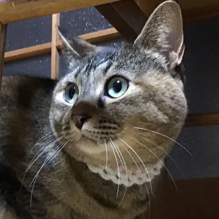 1c2d9973 deee 49a3 8f38 3c3dffc3c66e 1739878647618