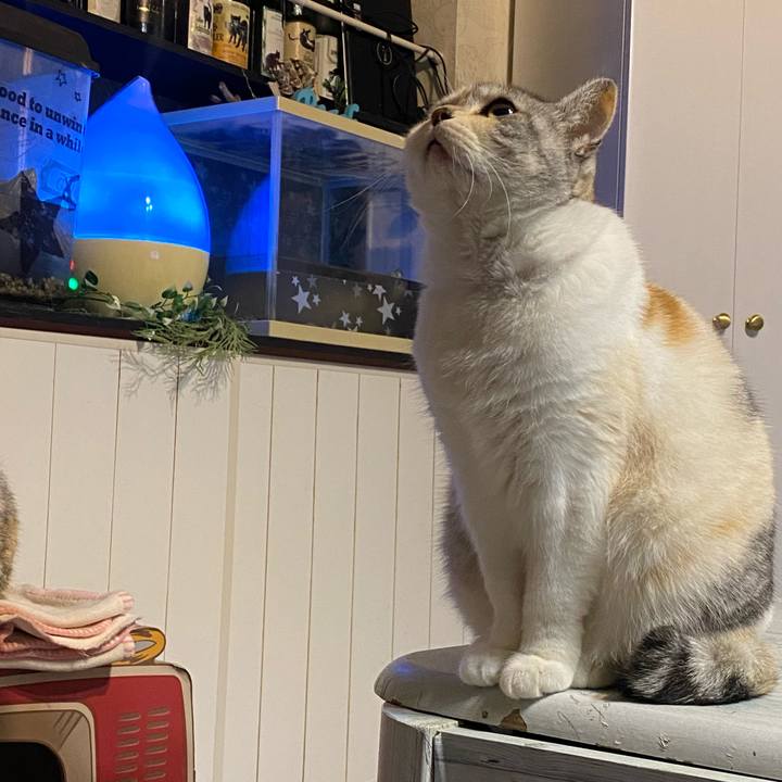 1c2de29a 8d24 4428 95c7 080a00297e3a 1638975748475