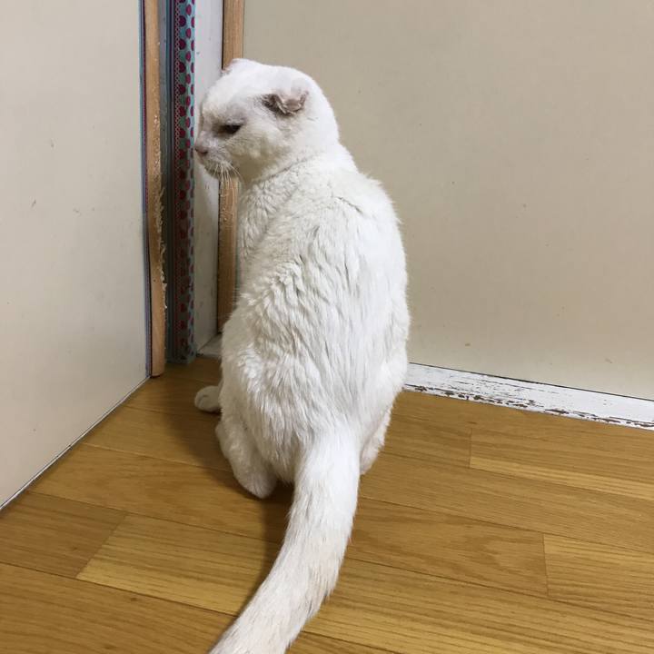 1c2deea4 b43f 4f6b 966d 467cd1fcc1d8 1539611675792