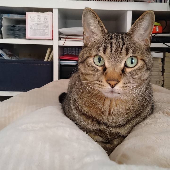 1c2df46b 7698 4aef af8f 52dbd05ddbb2 1710587547545